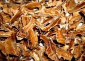Изображение загружено обработкой